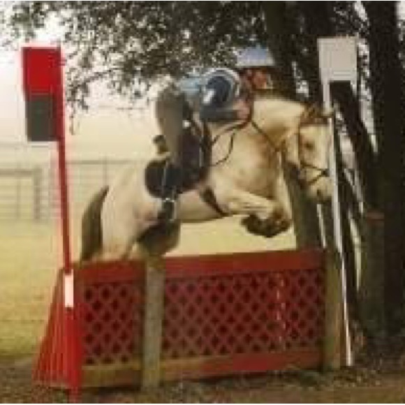 Meet your Posher, Ash Verville! - Picture 8 of 16